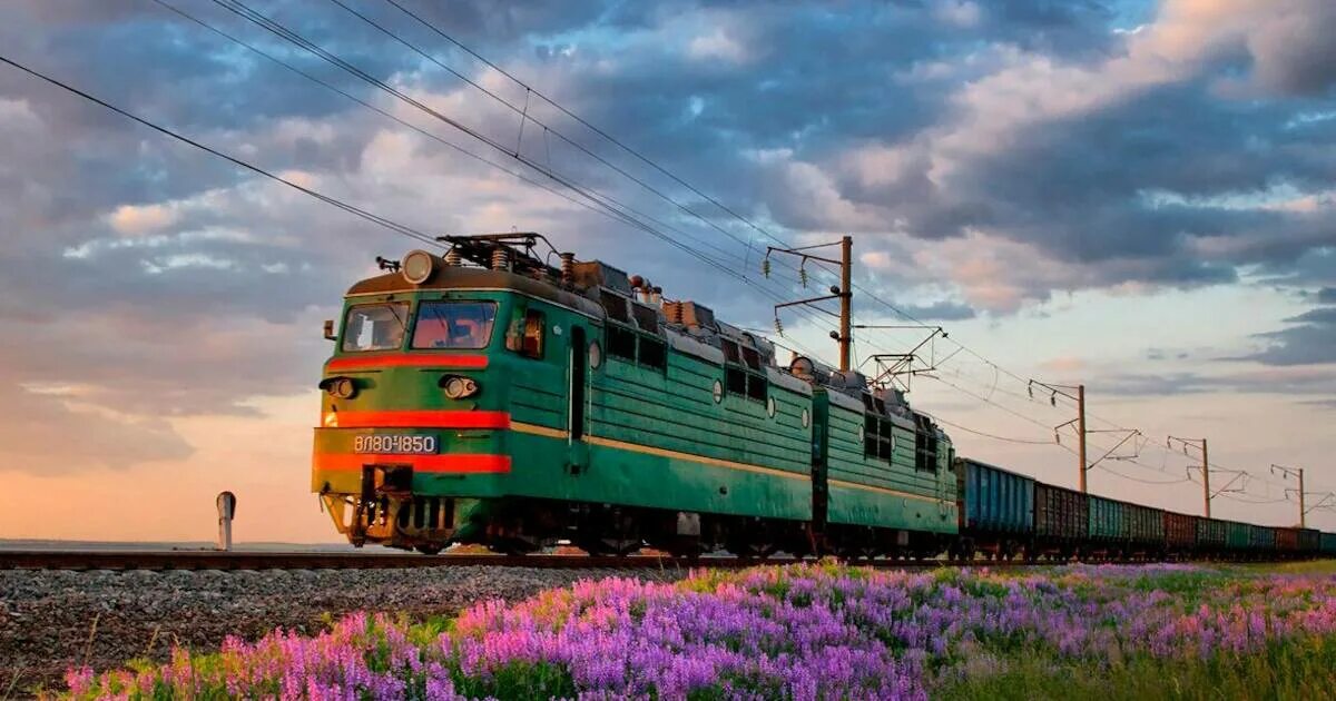 Звуки поезда час. Поезда. Природа. Очень красивый поезд. Паровоз.