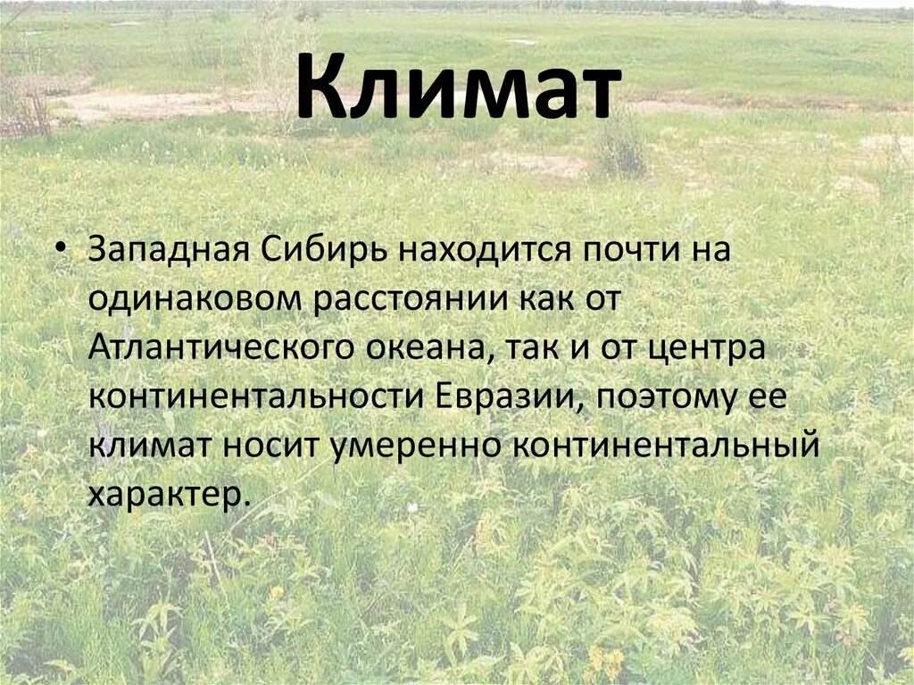 Какие климатические условия в сибири. Презентация на тему Сибирь. Западная Сибирь презентация. Сообщение о Сибири. Доклад о Сибири.