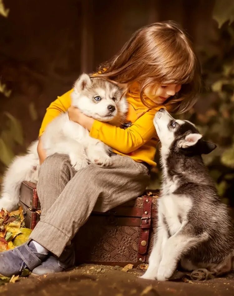 Подарите заботу. О доброте. Учите детей любить животных. Доброта это единственное. Доброта фото.