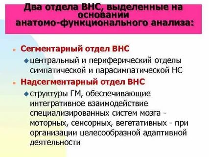 Сегментарный отдел вегетативной нервной системы представлен