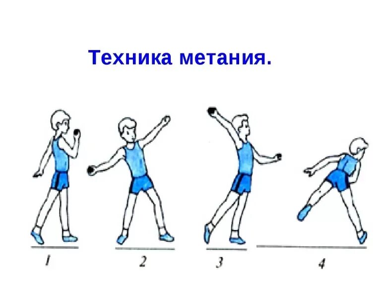 Реферат на тему метание по физкультуре. Техника метания теннисного мяча. техника выполнения метания мяча. легкая атлетика техника метания малого мяча. техника безопасности по легкой атлетике метание мячом.