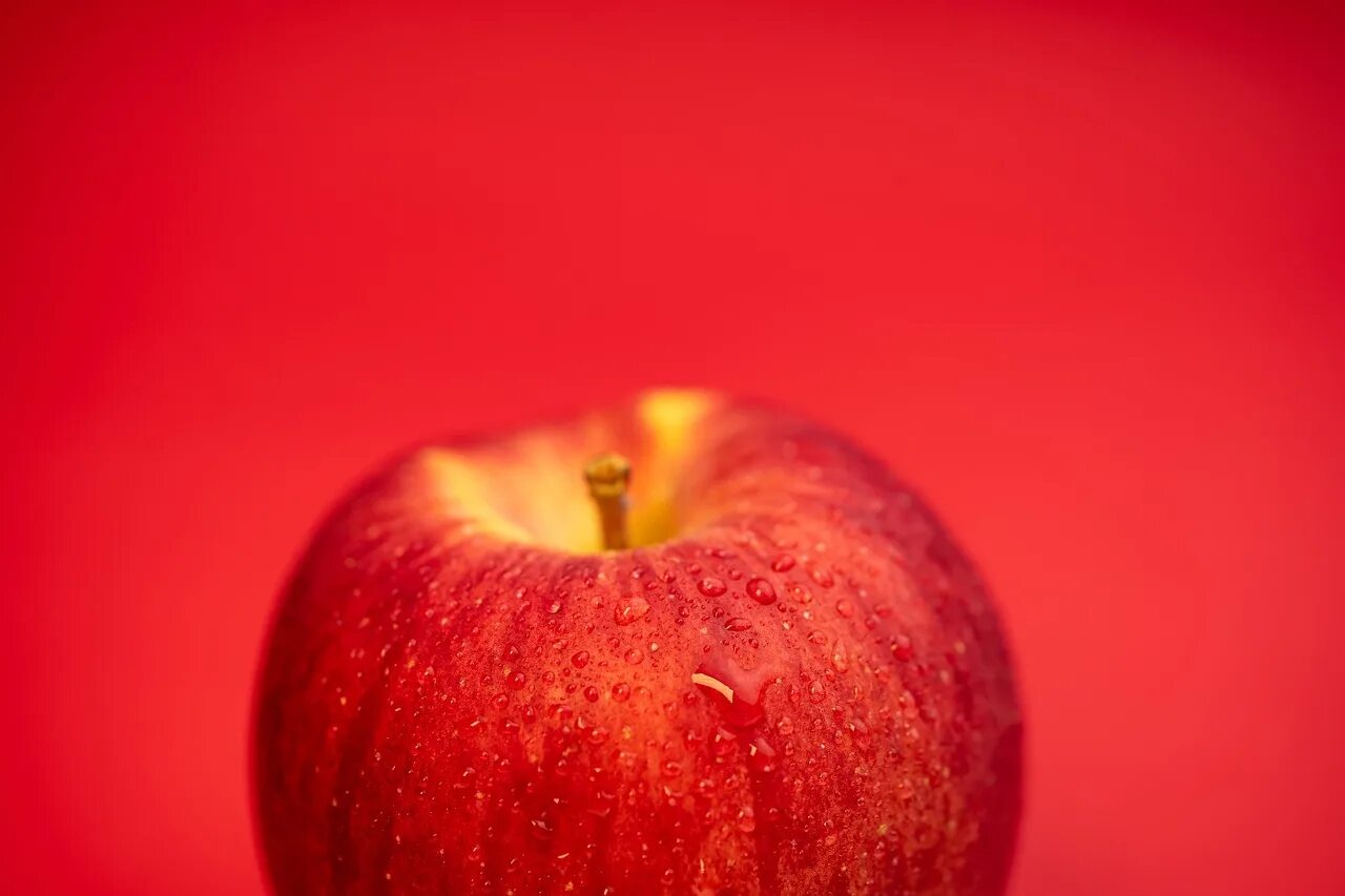 красное яблоко на русском языке. яблоко. яблоки красные. красное яблоко на русском языке. яблоки красные.