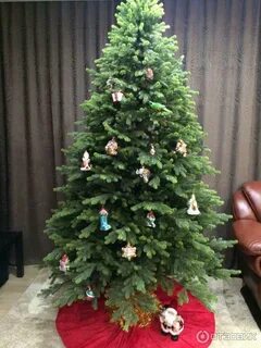 Max christmas отзывы
