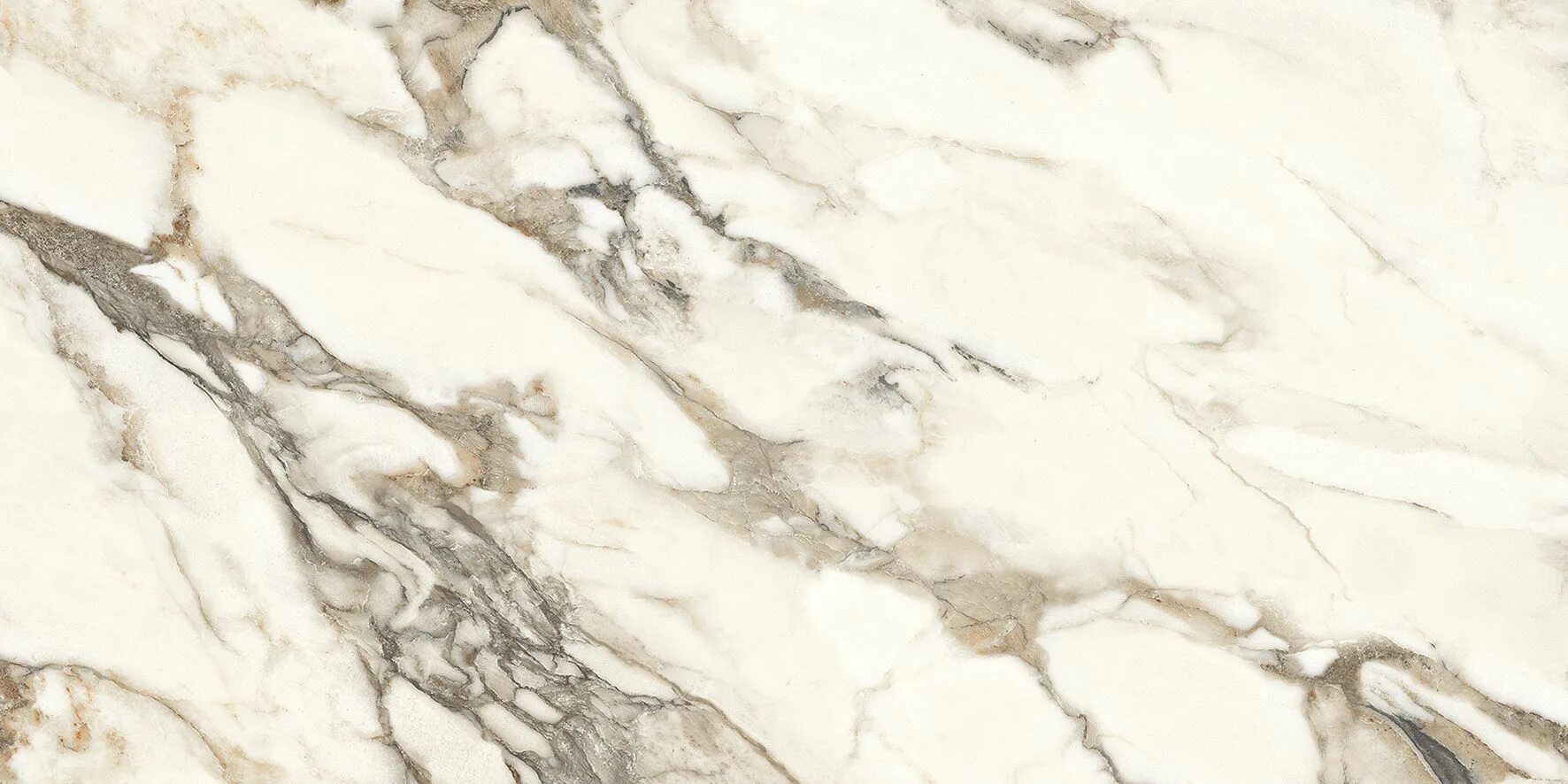 Calacatta gold керамогранит полированный. Calacatta bronze керамогранит белый полированный 60х120. laparet calacatta bronze керамогранит белый полированный 60x120. venato calacatta gold керамогранит белый сатинированный 60х120. calacatta gold 60x120.