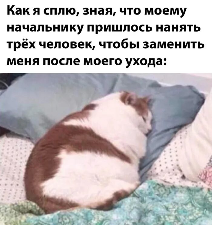 Заплатите налоги и спите спокойно. Заплатите налоги и спите спокойно. Заплати налоги и спи спокойно реклама. Запалти налог и спи спркйно. Переспишь со мной.