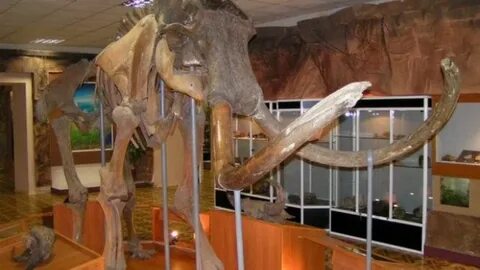 Сколько лет самому старинному музею якутии