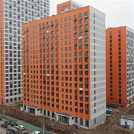 Циан амурский парк