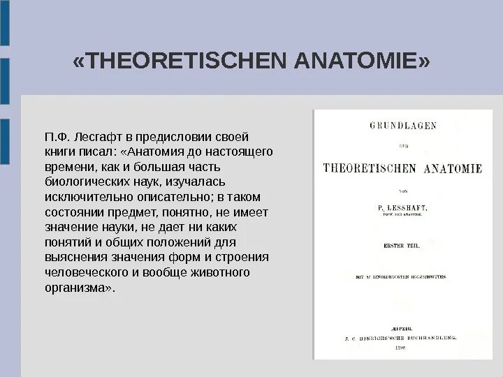 Система физического воспитания лесгафта. Система физического воспитания лесгафта