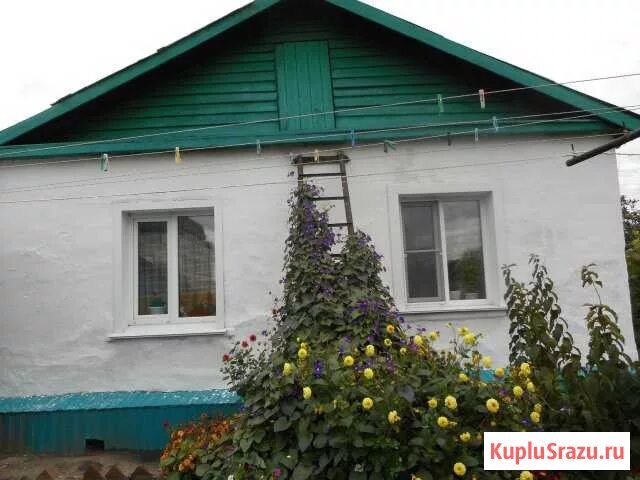 Дом в г камень на оби алтайский край. Авито г камень на оби. Дома на продажу в каменном. Дом. Авито г камень на оби.