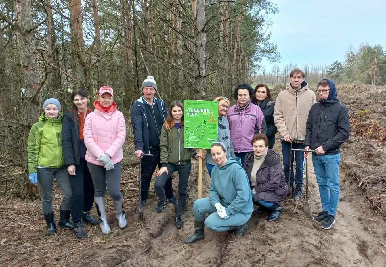 Возрождение леса. Субботник в лесу. Лесной мир. Высадка лесов. Предприятие в лесу.