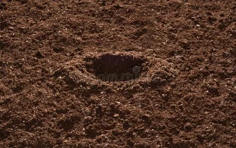 The dig dug a hole