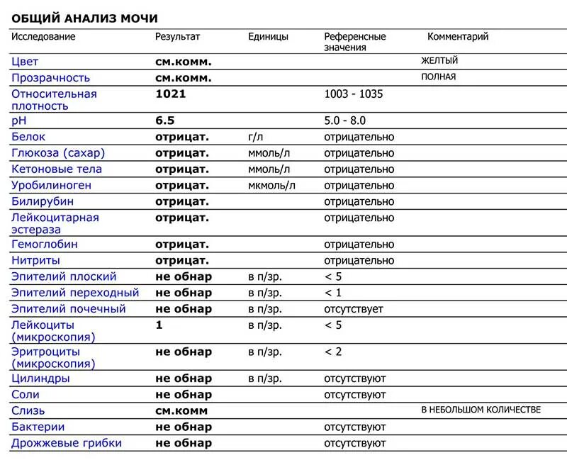 Эритроциты в моче клеток/мкл норма. Норма содержания лейкоцитов и эритроцитов в моче. Показатели лейкоцитов в моче норма. Анализ мочи расшифровка у женщин норма эритроциты.