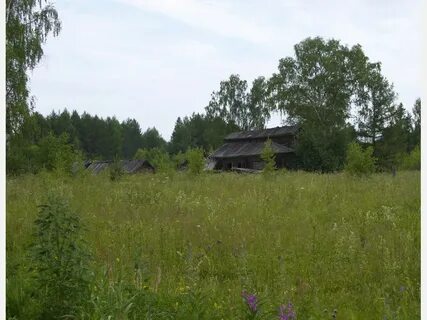 Погода в нижнем енангске