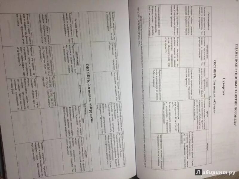 Нищева система коррекционной работы в логопедической группе. Рабочая программа логопеда нищева. Программа нищевой для детей для дошкольников. Планирование воспитательной работы преподавателя в учебной группе. Программа «детство» нищева.