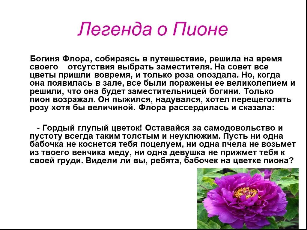История про цветы