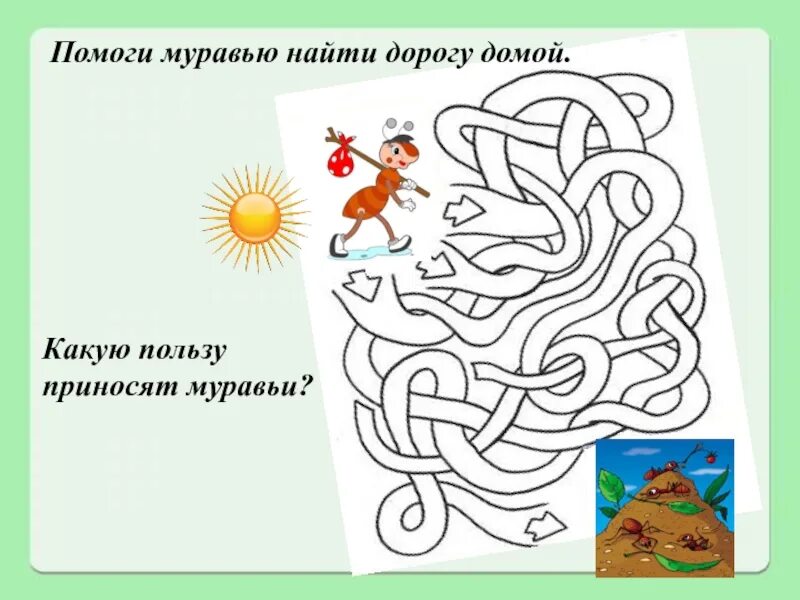 Найти дорогу во сне. Помоги найти дорогу. Помоги муравьям найти дорогу. Помоги найти дорогу домой. Помогает найти дорогу.