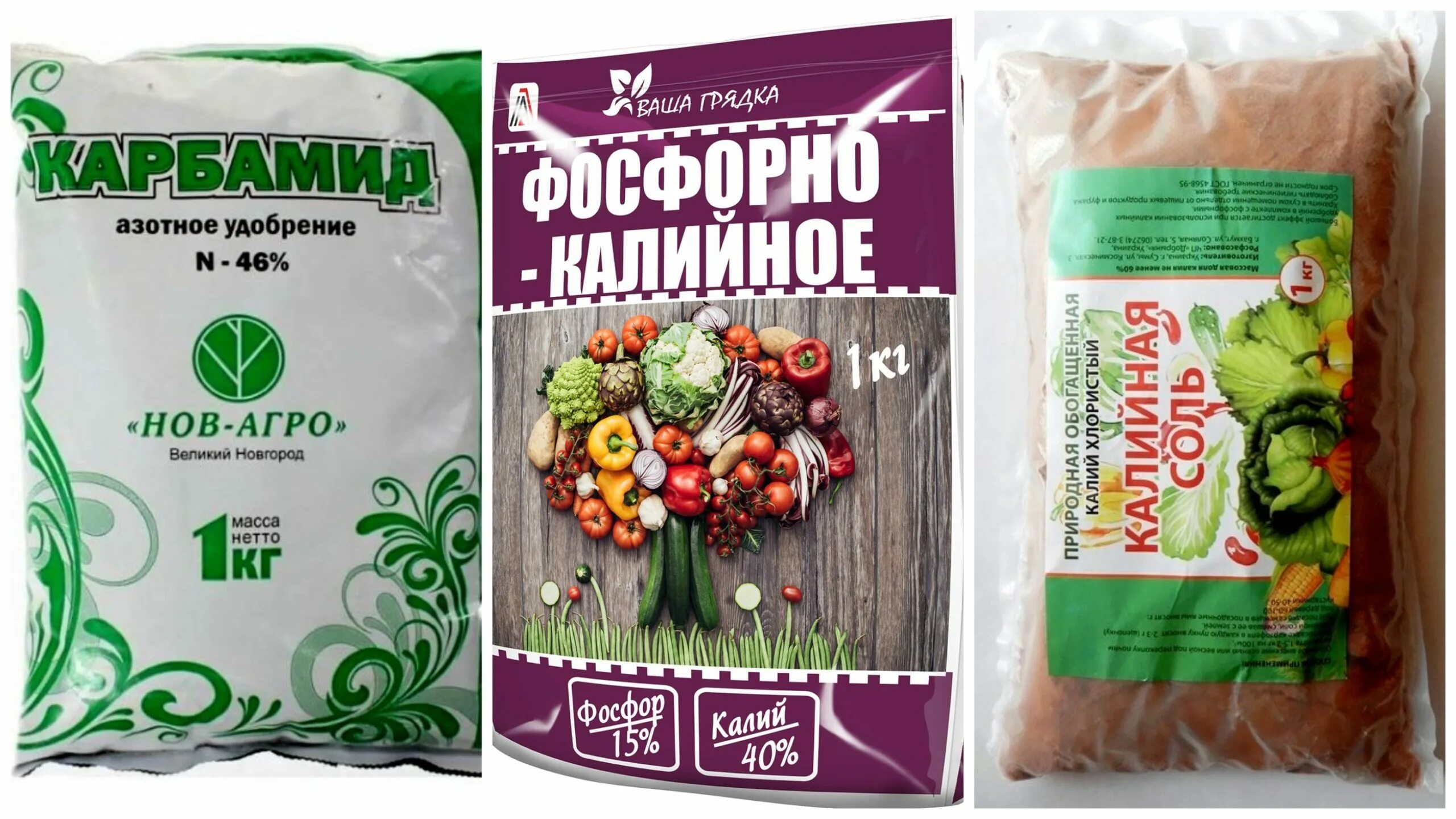 Грунт для кофейного дерева. Удобрения. кофе удобрение. удобрение для домашнего кофейного дерева. удобрение для кофейного дерева в домашних.
