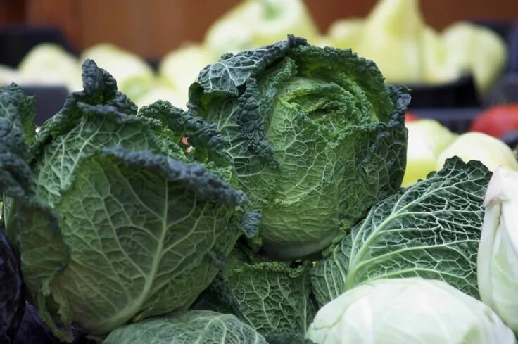 Pin on еда House plants, Cabbage, Food