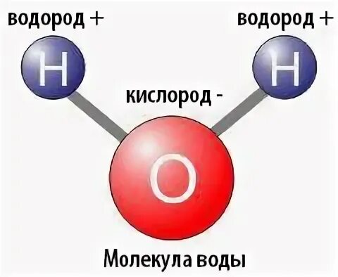 молекула состоит из. из чего состоит химия. молекулы состоят из одинаковых атомов. молекулы состоят из одинаковых атомов. строение атомов и молекул.