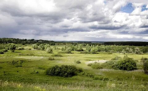 Село жуковский