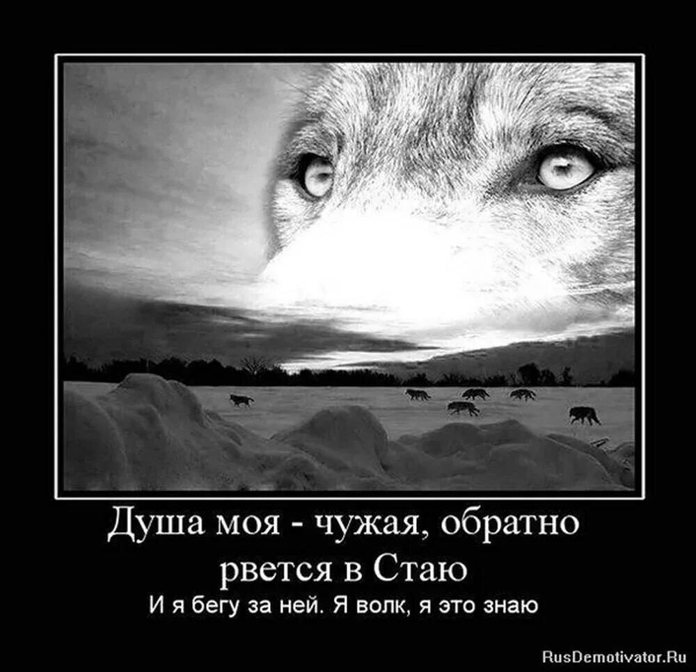 Слово готы. Пока не готов текст. Тварь пока не готова к взаимодействию. Иду на "ты". Текст готов.