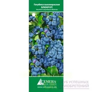 Сибсемена