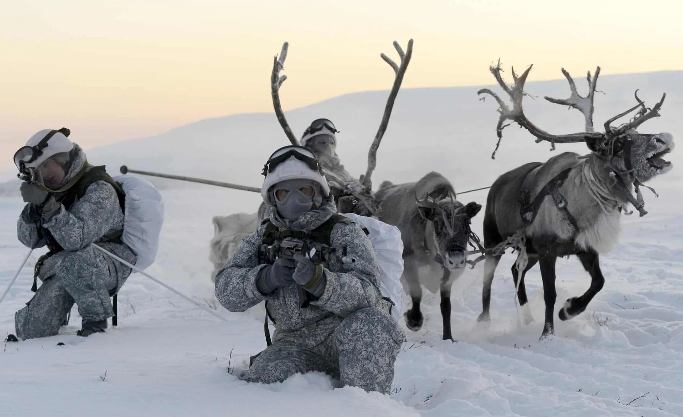 Крайнем севере а также в. Арктические войска. Военные на севере. Арктическая бригада. Арктический спецназ.