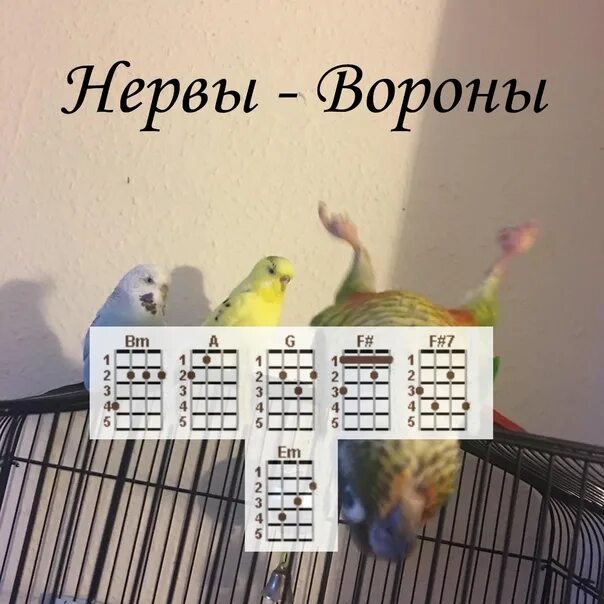 Нервы вороны бой. Табулатура черный ворон. Белая ворона слова песни. Игра на гитаре нервы. Вороны нервы табы.
