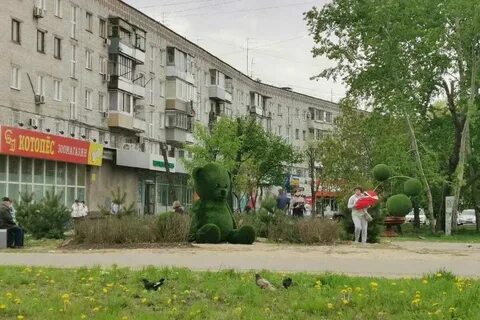 Прогноз погоды хабаровский край троицкое