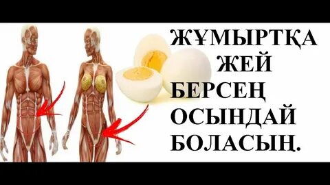 Порно жегіш