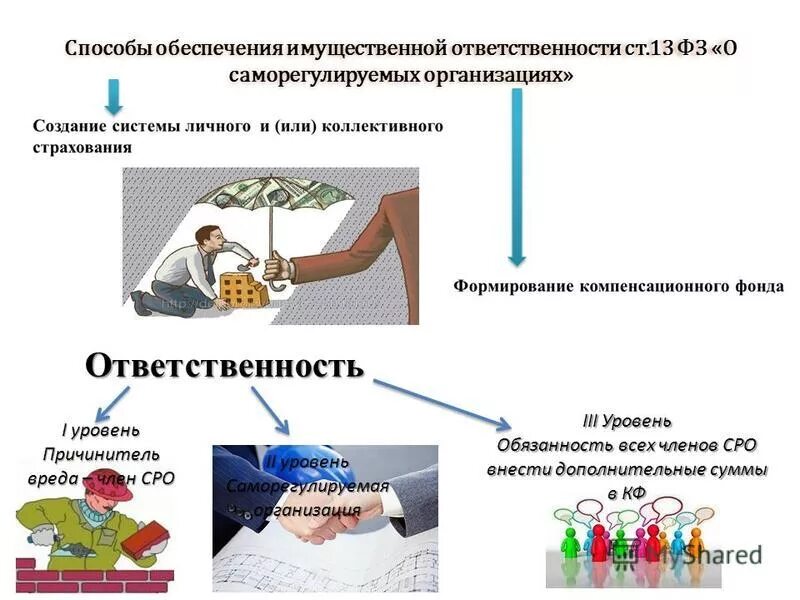 Ответственность членов саморегулируемых организаций