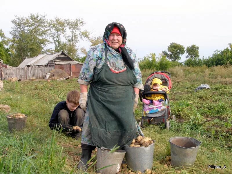 Погода в зятькова алтайский край. Зятькова речка Хабарский район Алтайский край. Алтайский край Хабарский район село зятькова речка. Васильевка Алтайский край. Зятькова речка Алтайский край.