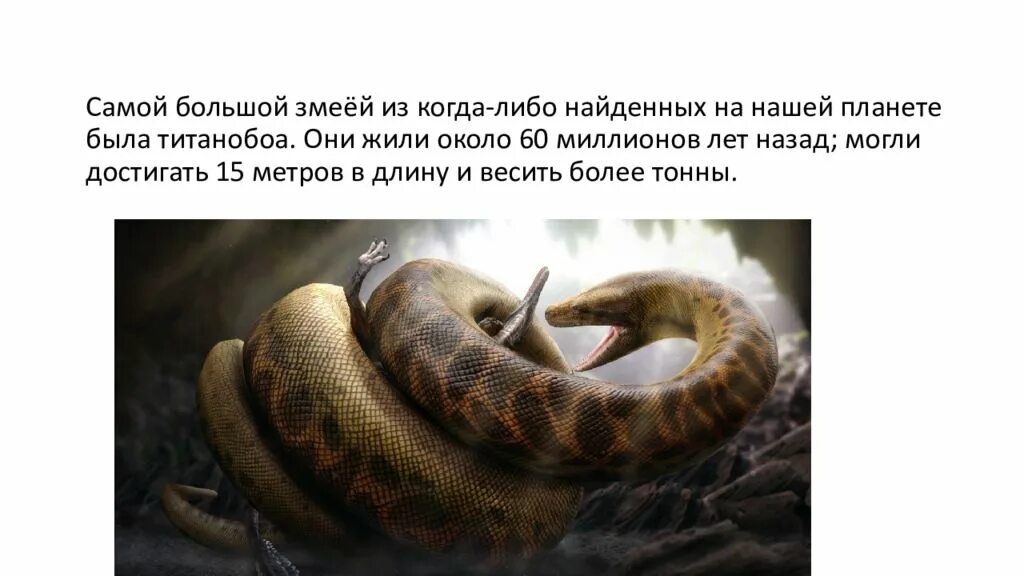 Тексты про змей