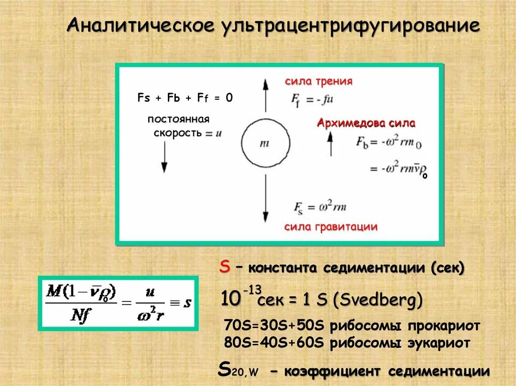 Скорость силы притяжения. Константа седиментации. Константа седиментации формула. Коэффициент седиментации (Константа Сведберга). Константа седиментации физический смысл.