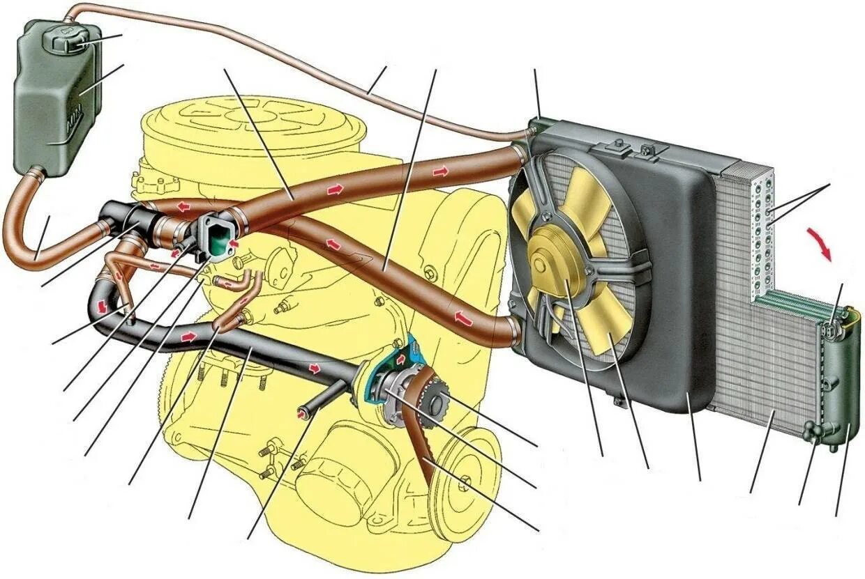 Почему включаются вентиляторы на холодном двигателе. Система охлаждения двигателя ВАЗ 2115. Система охлаждающей жидкости ВАЗ 2115. Система охлаждения двигателя ВАЗ 2114. Система охлаждающей жидкости ВАЗ 2114.
