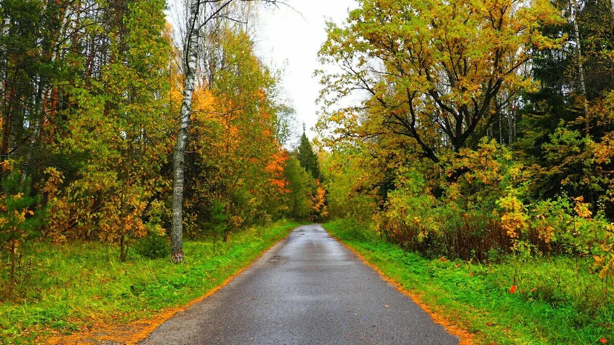 Смоленская крепостная стена. Пригород смоленска. Пригород смоленска. Весенний смоленск. Смоленская область смоленск.