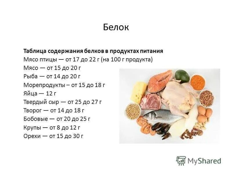 Содержание белка в продуктах таблица на 100. Содержание белка в продуктах таблица на 100 грамм. Содержание белков в продуктах таблица на 100 грамм. Таблица продуктов с высоким содержанием белка на 100 грамм