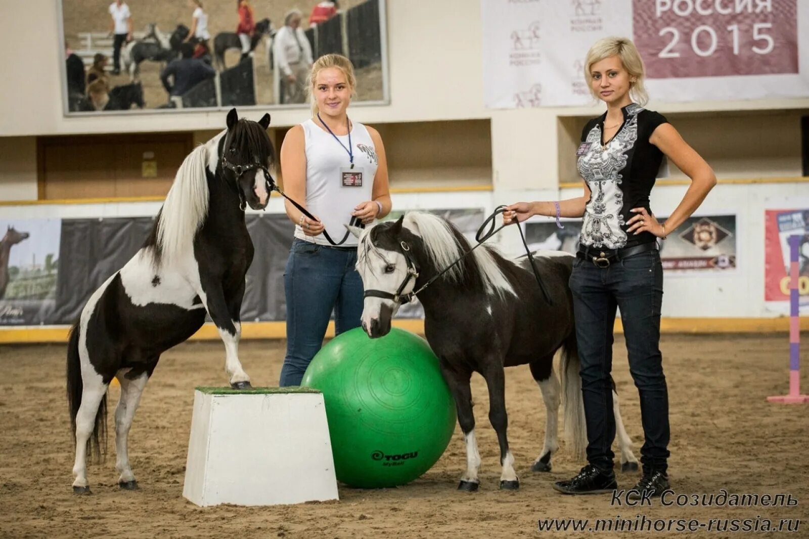 Такси красноуфимск номер телефона. Приложение кск. Кск технологии. Средняя площадь кск. Мини лошадь в зоопарке.