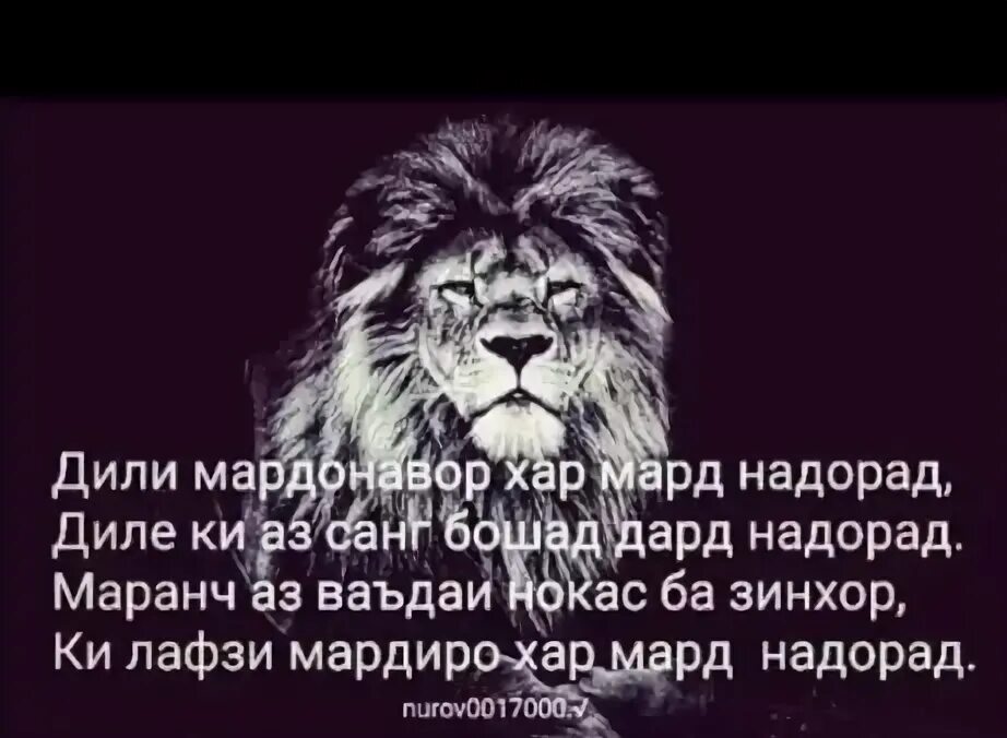 Як руз бошу мард бош картинки. Русский мард. Картинка мард бош. Картинка мард. Картинка барои номардон.