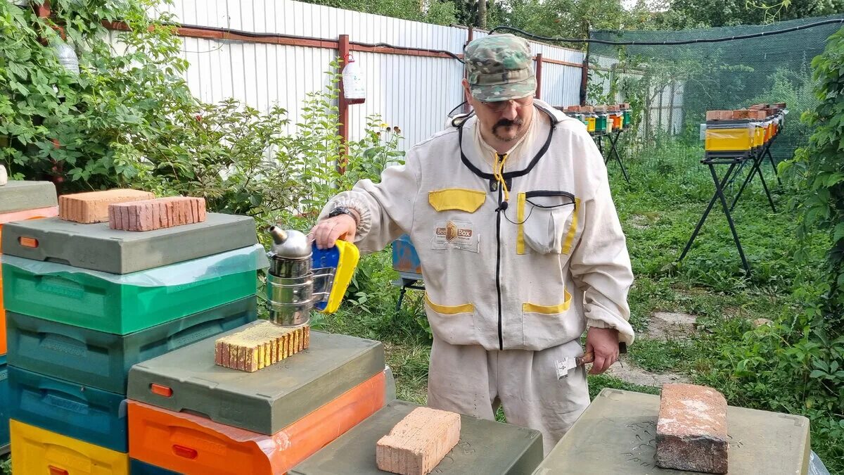 Пчеловод трейлер 2023. Башкирский мед бортничество. Пчеловоды и фермеры. Пчеловод трейлер 2023. Пчеловод в древности.