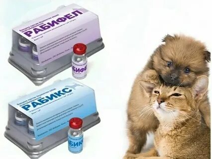 Рабикс