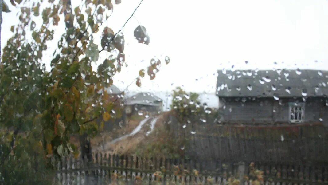 Дождь за окном в деревне. Ливень в деревне. Ливень за окном в деревне. Дождик из окна в деревне.