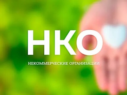 Социально ориентированные некоммерческие организации как попасть