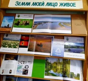 22 апреля день земли выставка в библиотеке