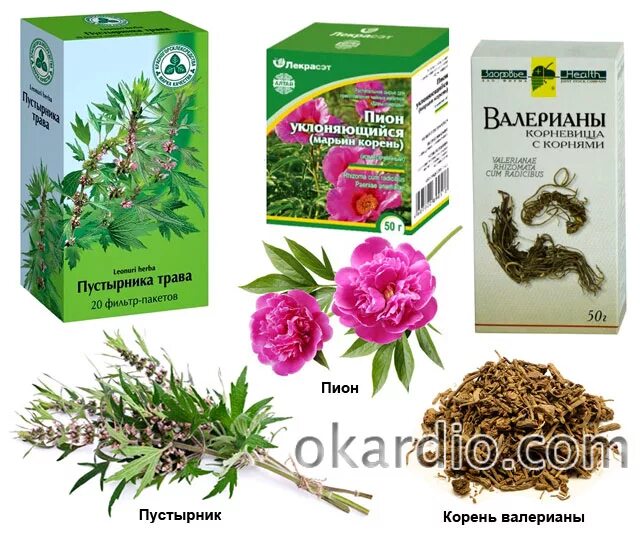 Какая трава снижает пульс