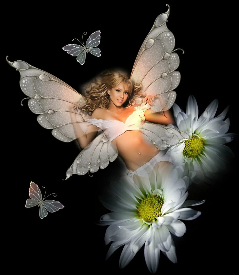Нежный мой ангел земной. Ангел с ромашкой. Ангелы сверкающие. Нежный Ангелочек. Бабочка и ангел.