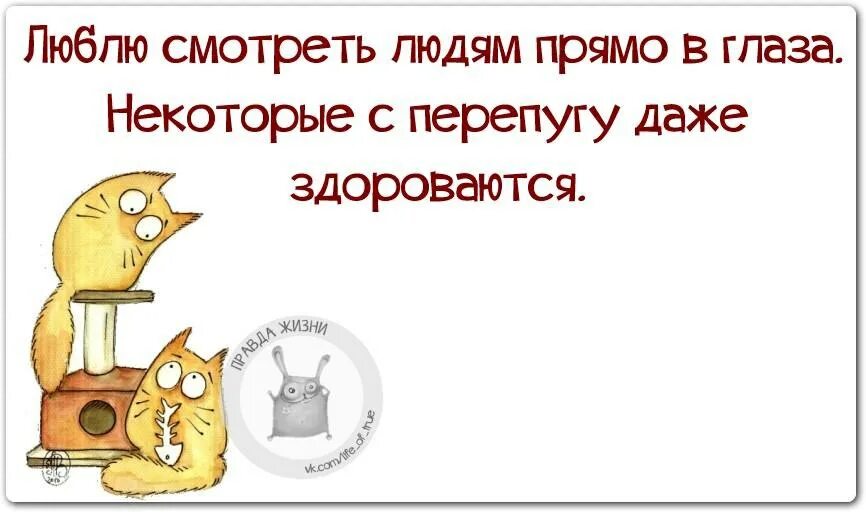 Новая правда жизни. Правда жизни юмор. Правда жизни приколы. Смешные цитаты с картинками правда жизни. Правда жизни смешные картинки.