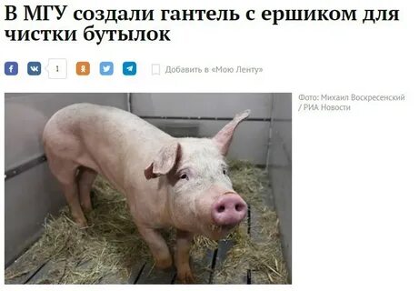 Конечно 20