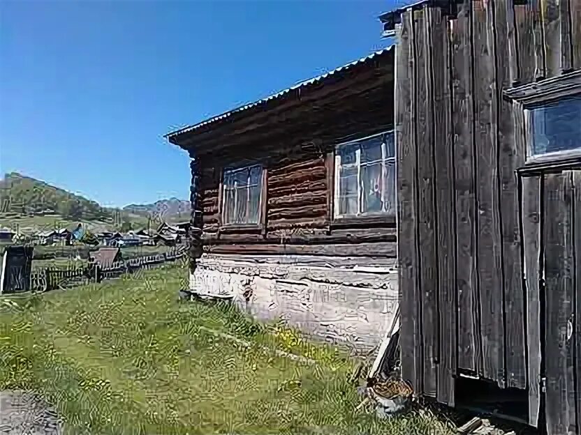 Белая речка колывань. Село алтайское. Село черга республика алтай. Алтайский край, село усть - белое. Рп5 белое алтайский.