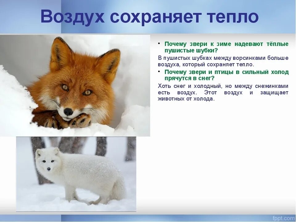 Почему тепло. Воздух сохраняет тепло. воздух плохо проводит тепло. почему воздух сохраняет тепло. воздух проводит тепло 3 класс.